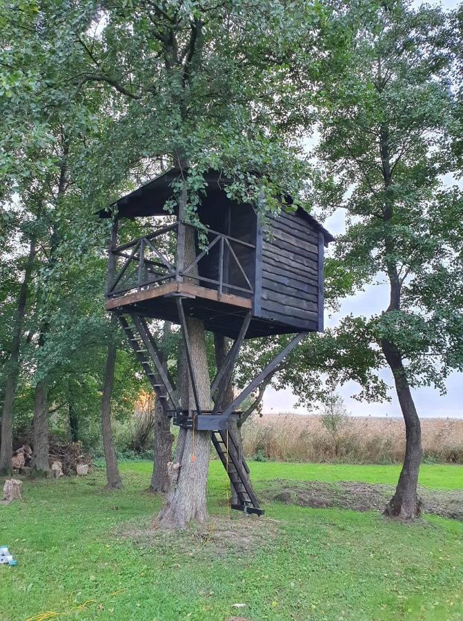 Kaimo Turizmo Sodyba Satavi Kinty Buitenkant foto