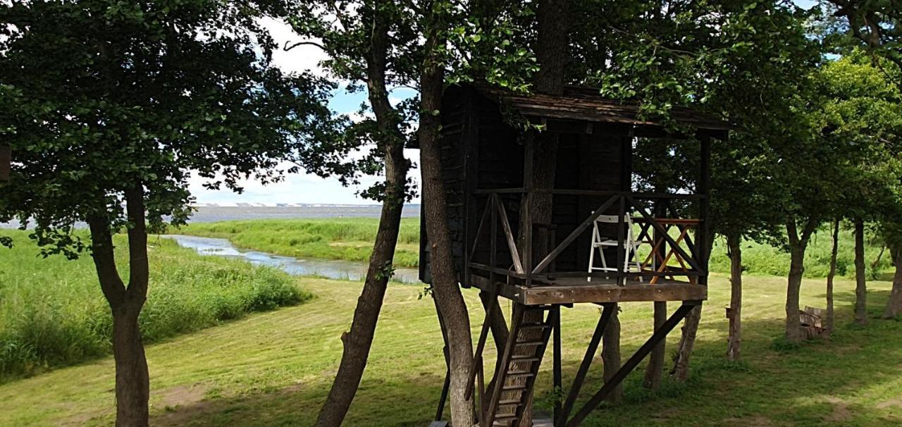 Kaimo Turizmo Sodyba Satavi Kinty Buitenkant foto